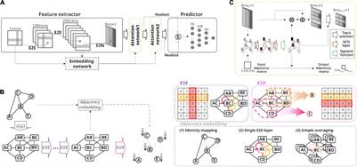 Sparse Hierarchical Representation Learning on Functional Brain Networks for Prediction of Autism Severity Levels